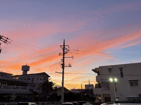 さくらや クーポン