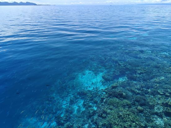 仙本那愛潛海浪酒店優惠
