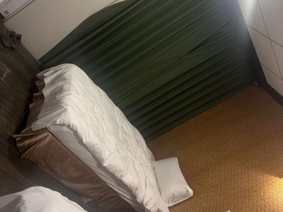 台東鹿野金暉大飯店優惠