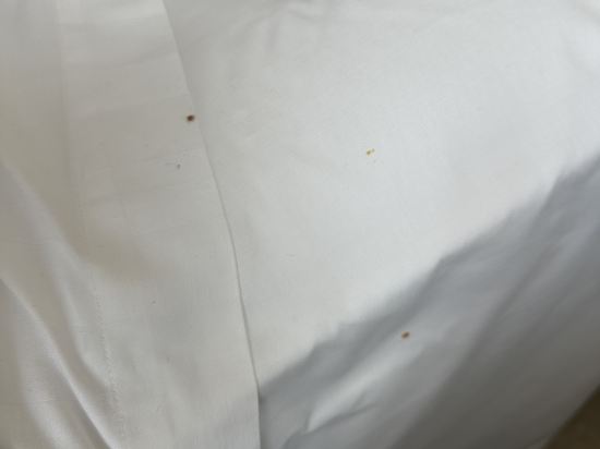 阿斯頓·吉迪恩·巴淡飯店優惠