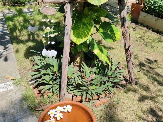 大城府公園水療度假村優惠