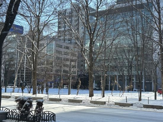 ベストウェスタン札幌大通公園 クーポン