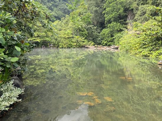 萬雅嵐温泉度假村優惠