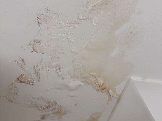 公園大道貝斯沃特酒店優惠