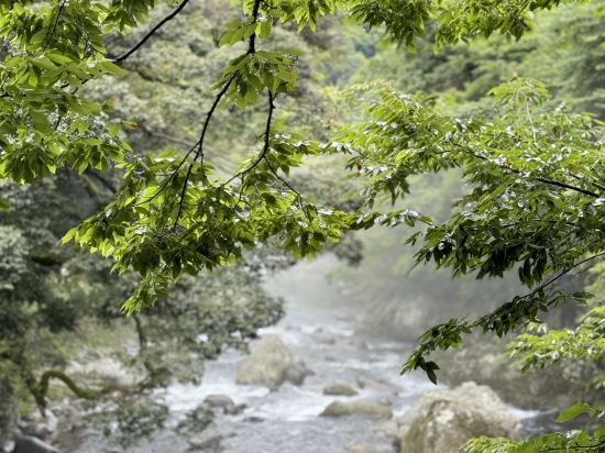 おちあいろう クーポン