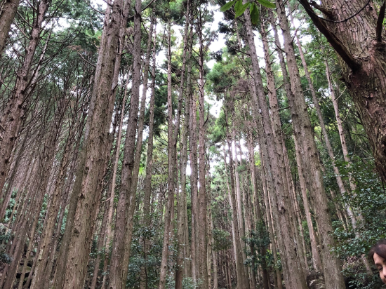 世界遺産リゾート　熊野倶楽部 クーポン