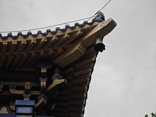星倫國際公寓（廣州琶洲會展中心店）優惠