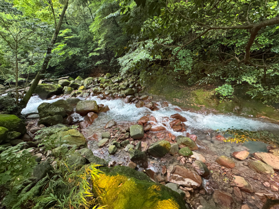 緑と渓流に抱かれた美肌温泉の宿　霧島温泉静流荘 クーポン