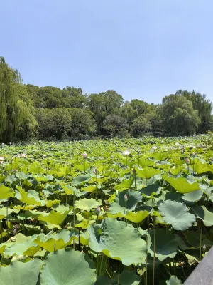 桐鄉萬象滙振興西路亞朵飯店 飯店周邊 Photos