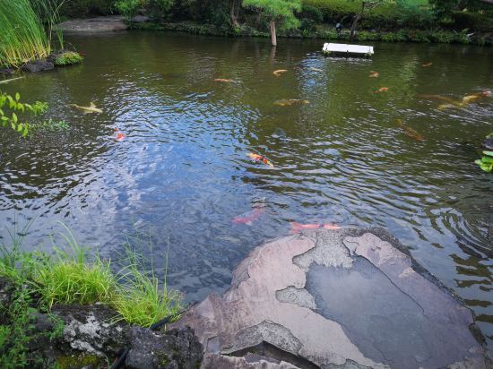 東京新大谷酒店花園塔酒店優惠