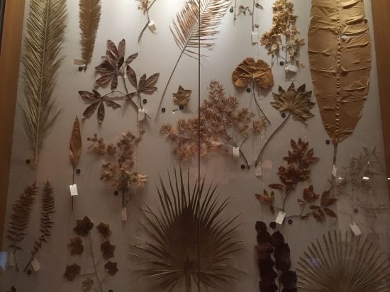 上海浦西萬怡酒店優惠