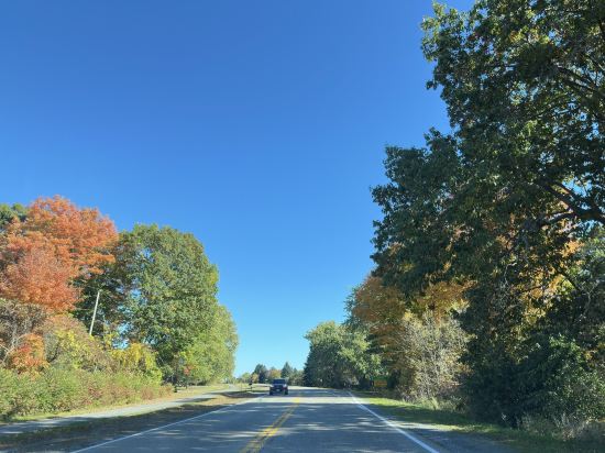 多倫多機場希爾頓大使館套房酒店優惠
