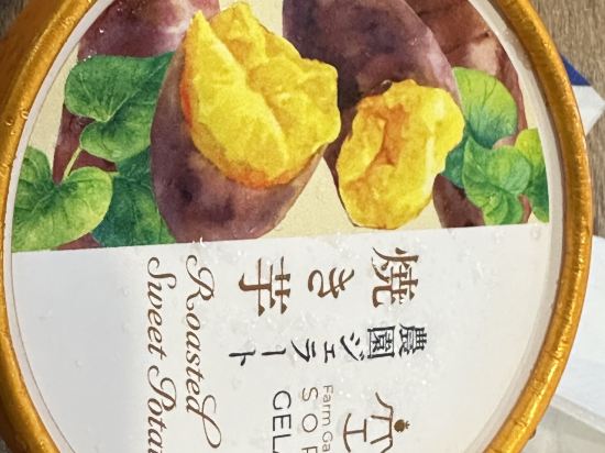 中洲博多花園酒店優惠