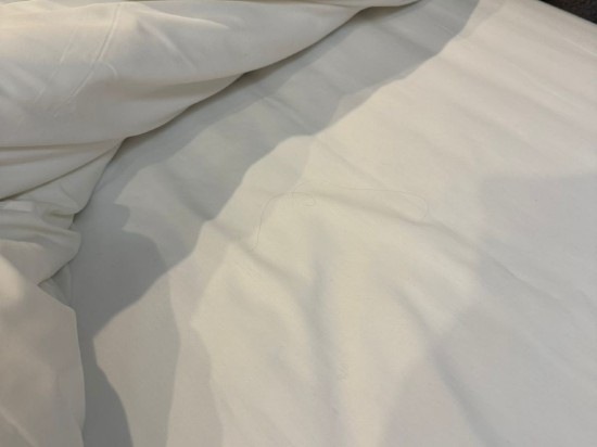 南浦馬隆飯店優惠