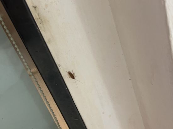 吉隆坡城市便捷酒店優惠