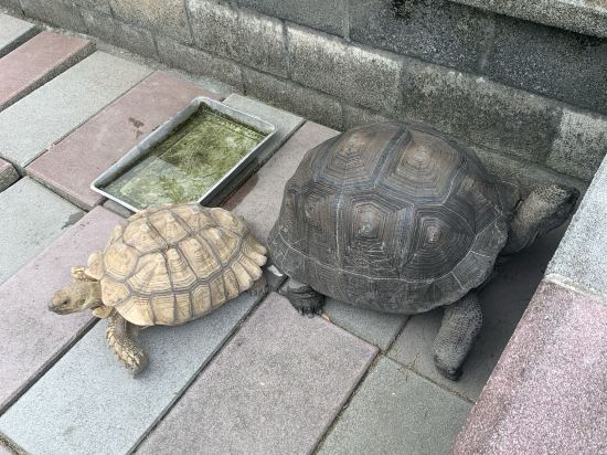 親水89饗樂民宿優惠