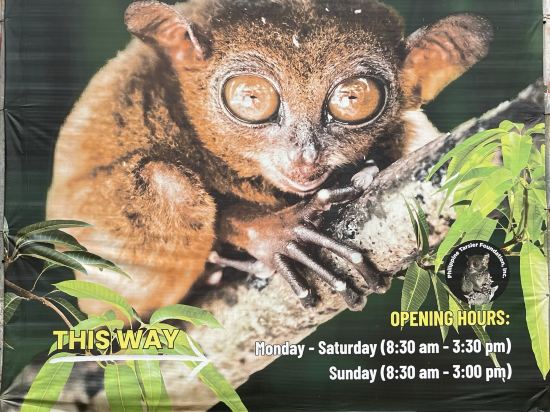 薄荷島阿米汗度假村優惠