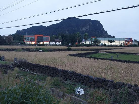 담모라 리조트 쿠폰