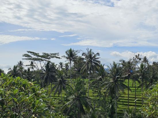 普利賽峇裡島度假飯店優惠