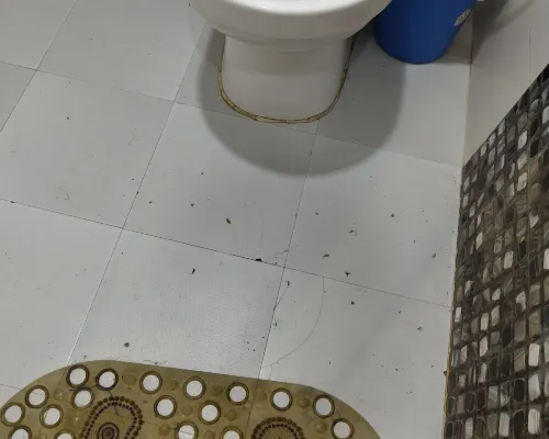 Hotel Lakeside Pvt. Ltd. Kamar Photos