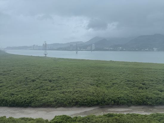 觀海樓海景大飯店優惠