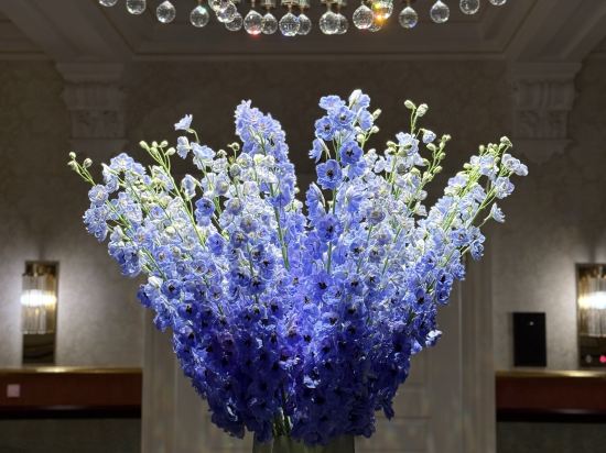 多爾德大酒店優惠