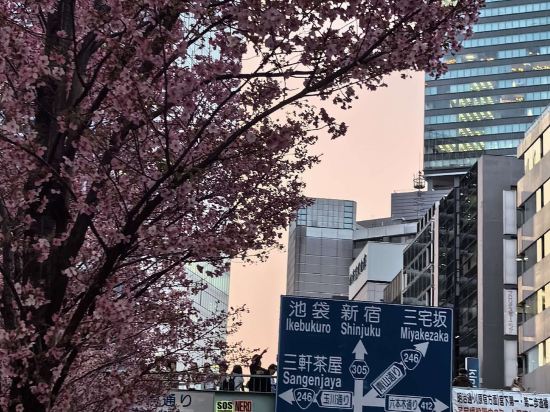 澀谷東急住宿酒店優惠
