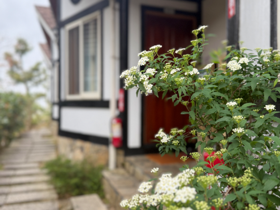 南投清境雲海景觀渡假山莊優惠
