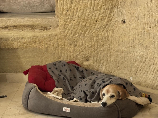 迪萬巖洞酒店優惠