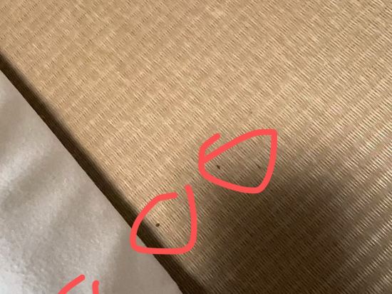 山荘天水 クーポン