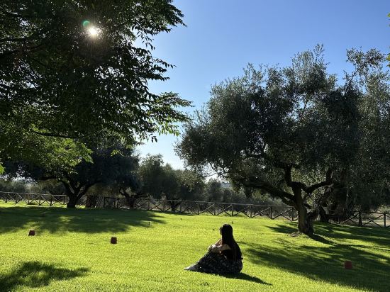 東羅馬希爾頓歡朋酒店優惠