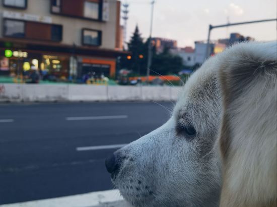 維也納酒店（句容茅山風景區朝陽路店）優惠