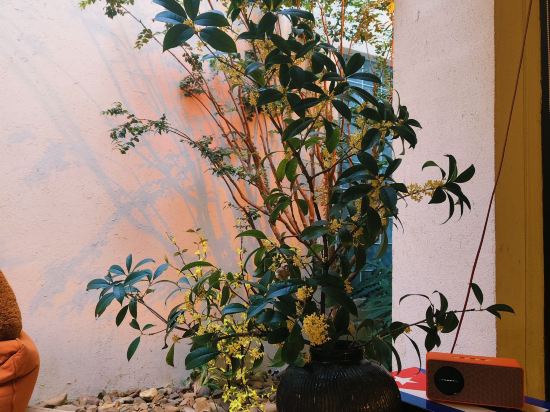 玖米宿江（桂林兩江四湖東西巷店）優惠