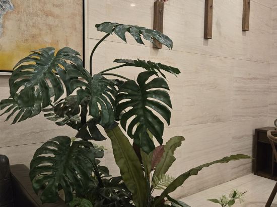 瀋陽盛捷和平服務公寓優惠