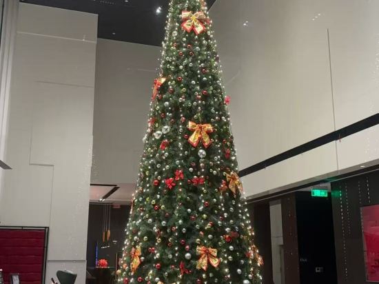 深圳寶安體育館希爾頓歡朋酒店優惠