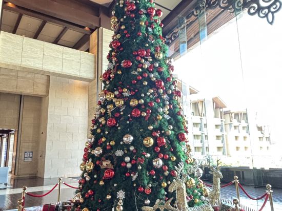 大理實力希爾頓酒店優惠