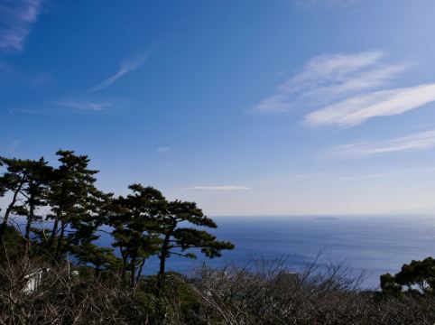 プリンス スマート イン 熱海 クーポン