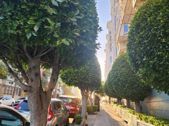 瑪吉斯迪克酒店優惠