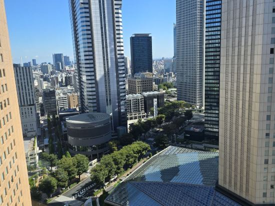 東京凱悅飯店優惠