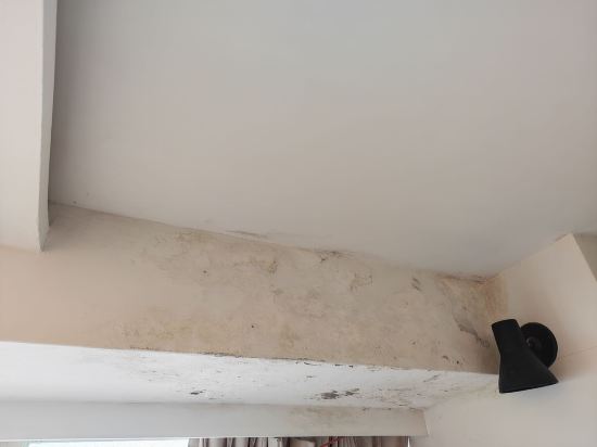 桃園晚安旅店優惠