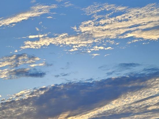 서머셋 제주신화월드 쿠폰