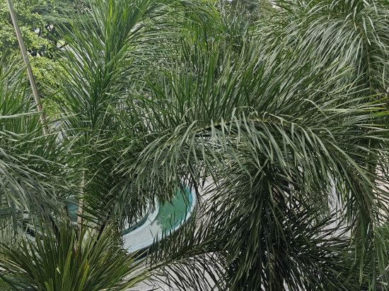 素萬那普九號公園飯店優惠