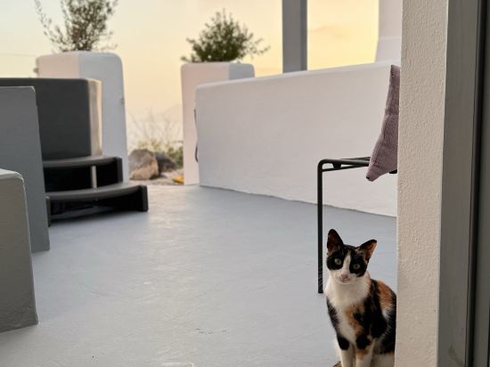 專屬套房酒店優惠