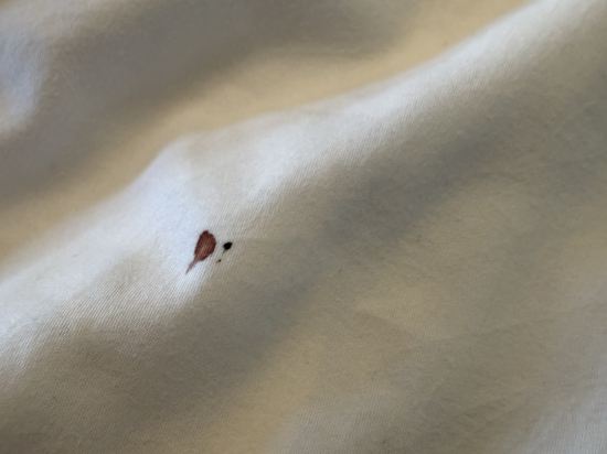 阿姆斯特丹斯勞特戴克站美居酒店優惠