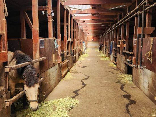 つたや季の宿　風里 クーポン