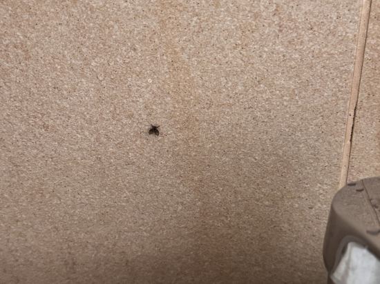 香港逸豪酒店優惠