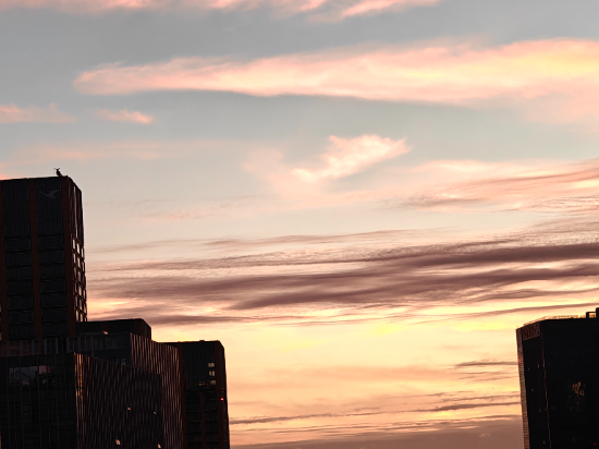 廈門天天如家酒店公寓優惠