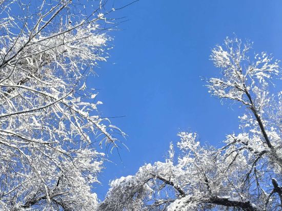 烏魯木齊頤中園飯店（紅山人民公園店）優惠