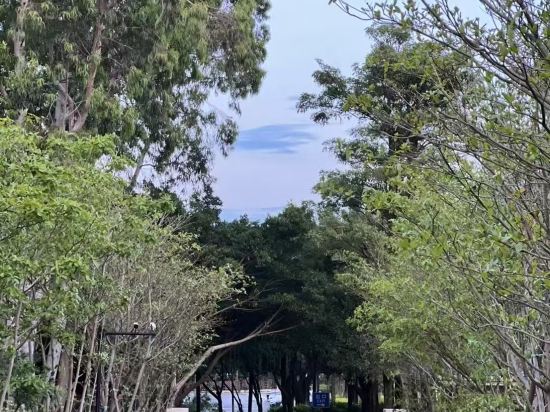 廈門海悅山莊飯店優惠