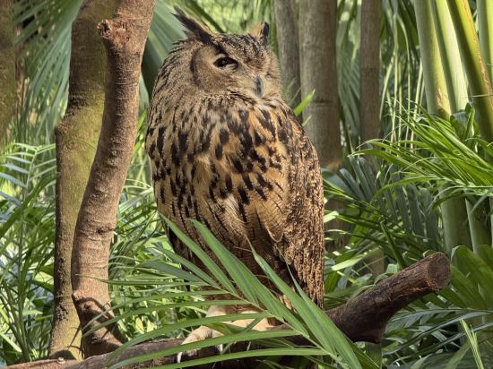 珠海賓薈灣酒店（暨南大學店）優惠